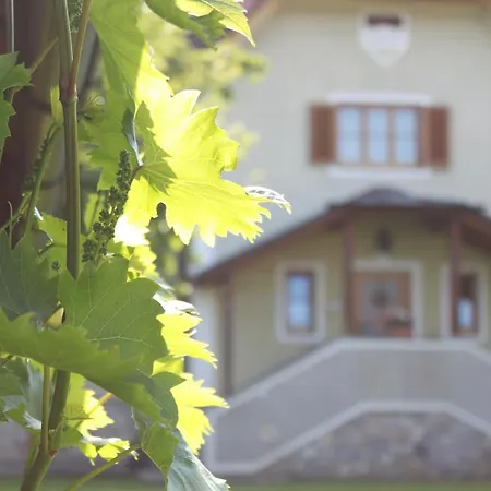 Bed & Breakfast Gastehaus Reiterer *