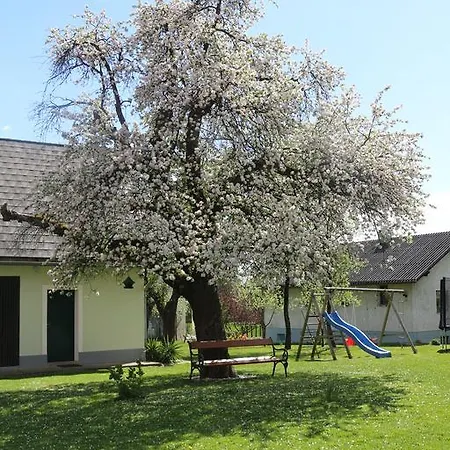 Bed & Breakfast Gastehaus Reiterer