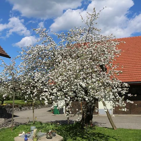 Gastehaus Reiterer Deutschlandsberg